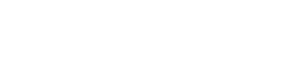 Flipkart Logo